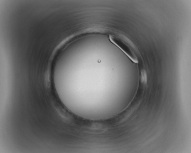 X0000113750388200910071110