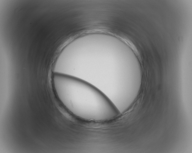 X0000113750389200910071110