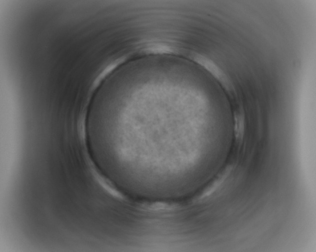 X0000113750390200910071110