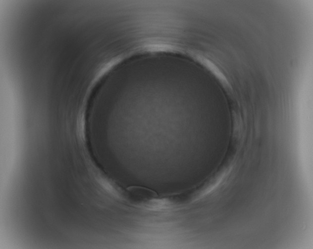 X0000113750391200910071110