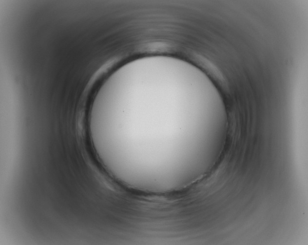 X0000113750392200910071110