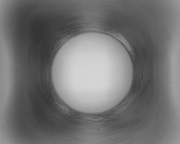 X0000113750393200910071110