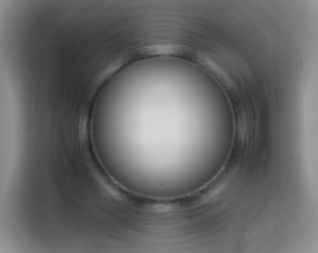 X0000113750394200910071110