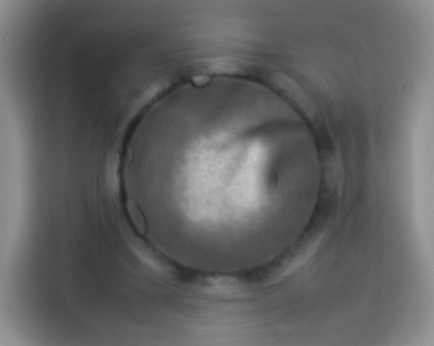 X0000113750395200910071110