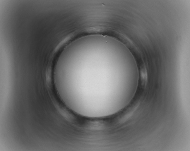 X0000113750396200910071110