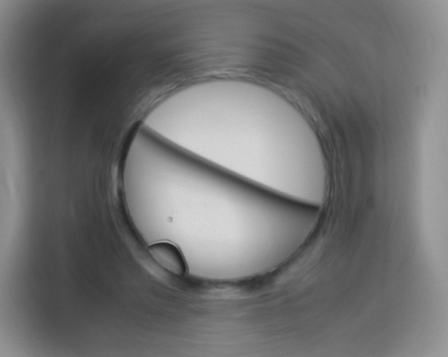 X0000113750397200910071110