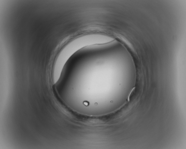 X0000113750399200910071110