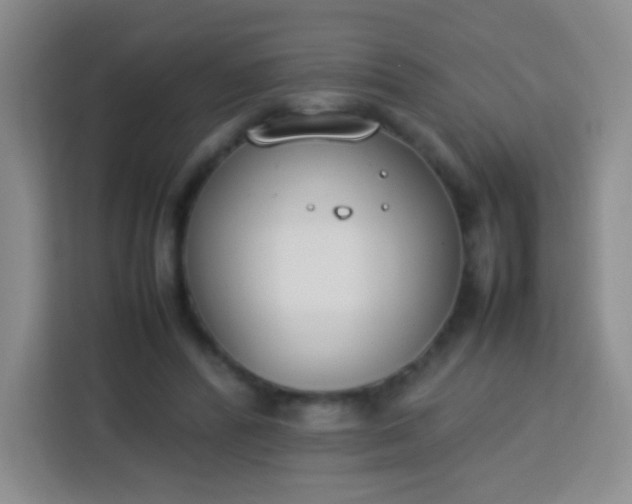 X0000113750400200910071110