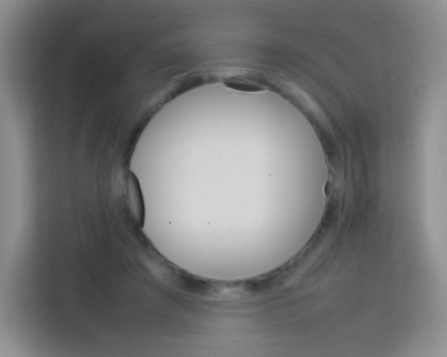 X0000113750401200910071110