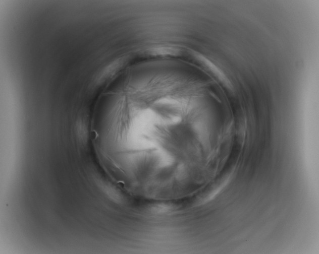 X0000113750402200910071110