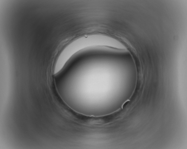 X0000113750403200910071110