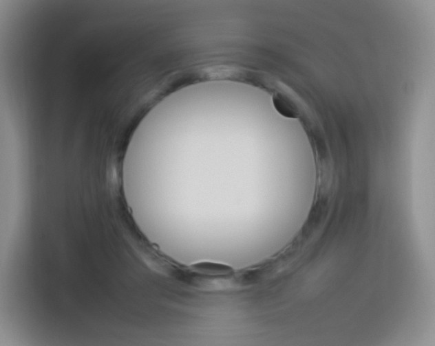 X0000113750405200910071110