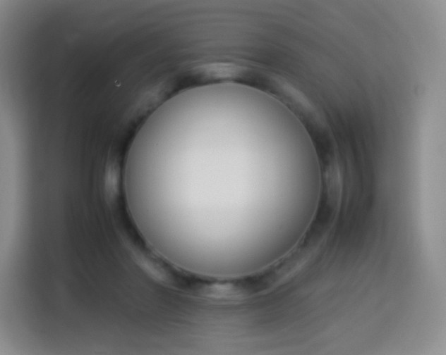 X0000113750406200910071110