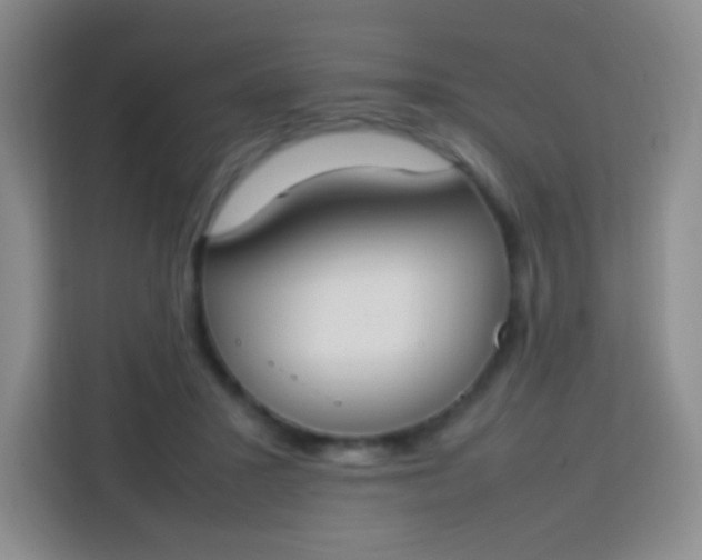 X0000113750407200910071110