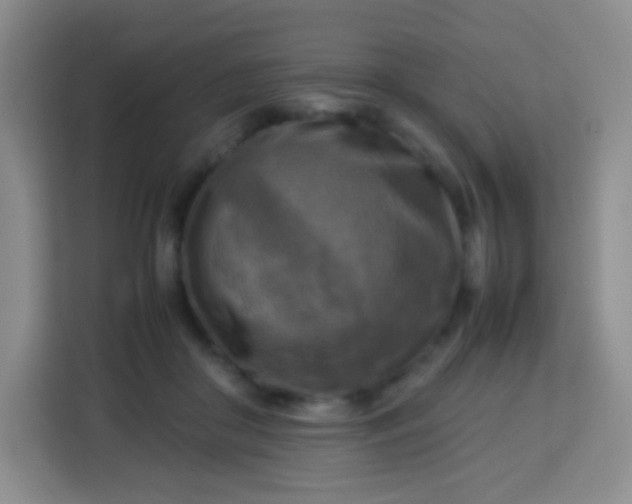 X0000113750410200910071110