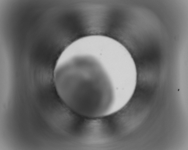 X0000113750411200910071110