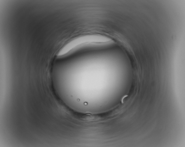 X0000113750415200910071110