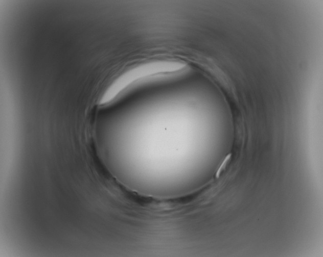 X0000113750419200910071110