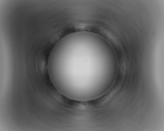 X0000113750420200910071110