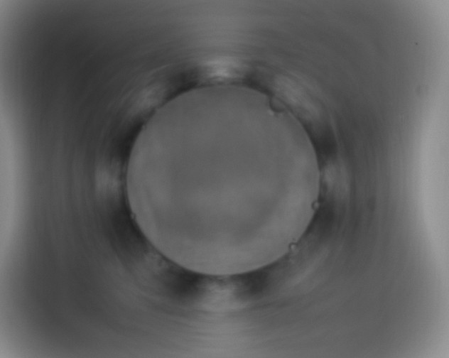 X0000113750423200910071110