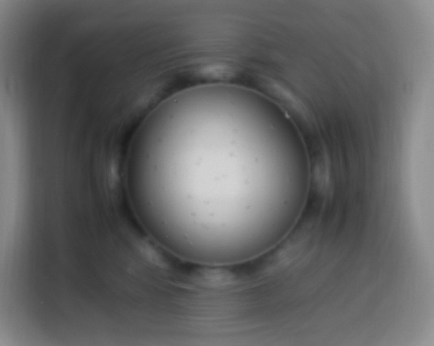 X0000113750424200910071110