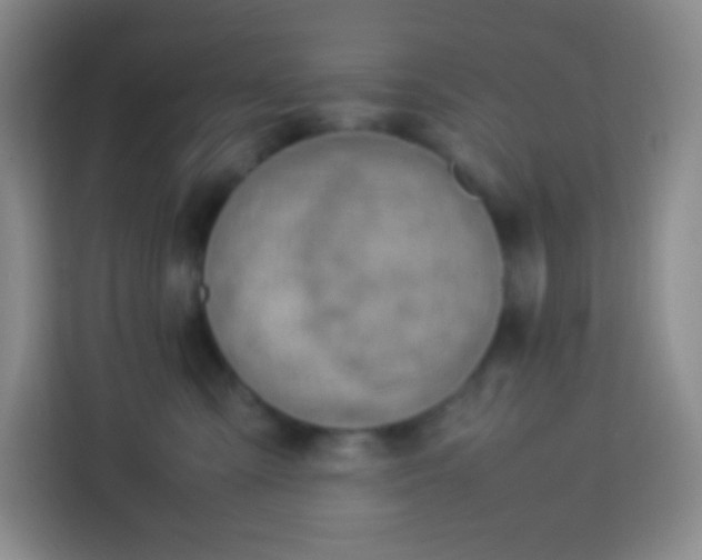 X0000113750427200910071110