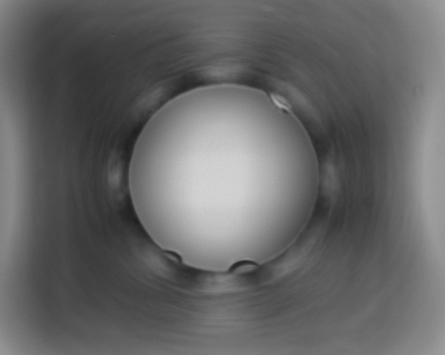 X0000113750428200910071110