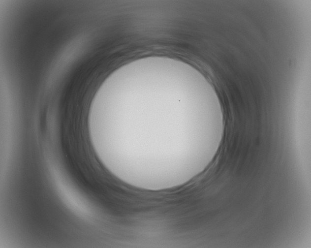 X0000113750429200910071110