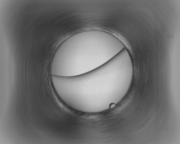 X0000113750433200910071109