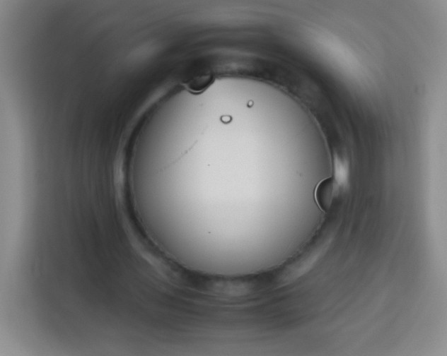 X0000113750435200910071109