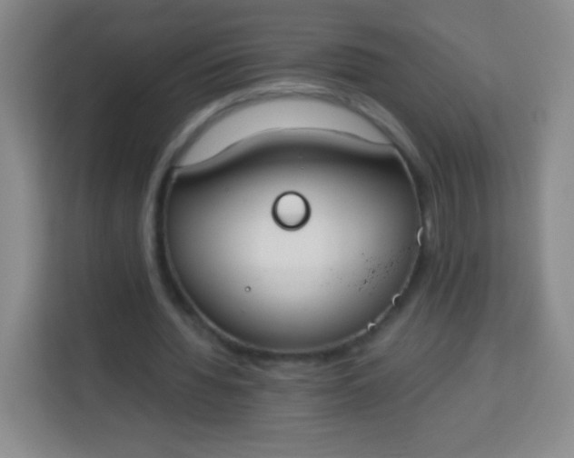 X0000113750436200910071109