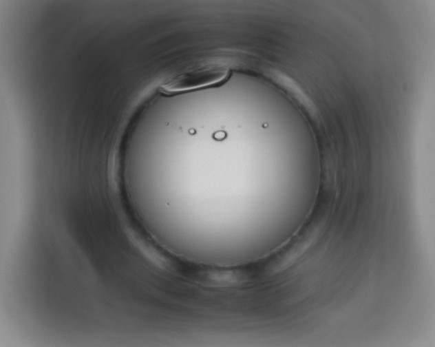 X0000113750439200910071109