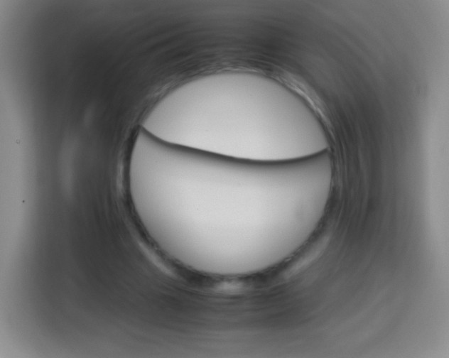 X0000113750441200910071109