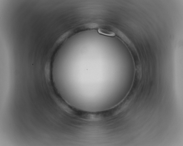 X0000113750442200910071109