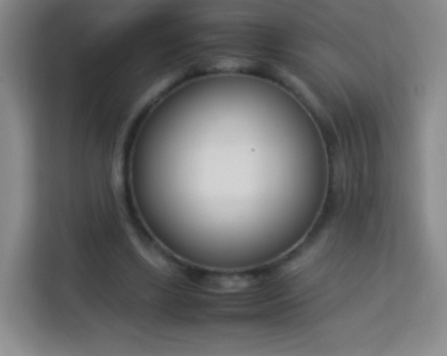 X0000113750443200910071109