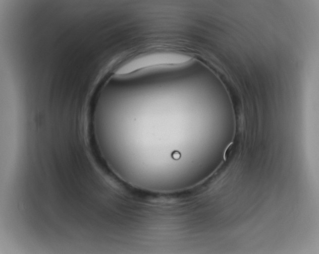 X0000113750444200910071109