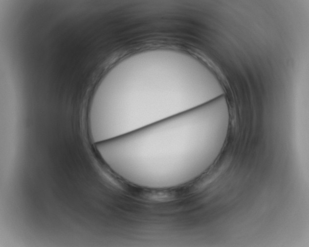 X0000113750445200910071109