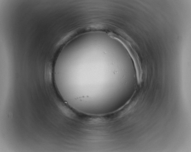 X0000113750446200910071109