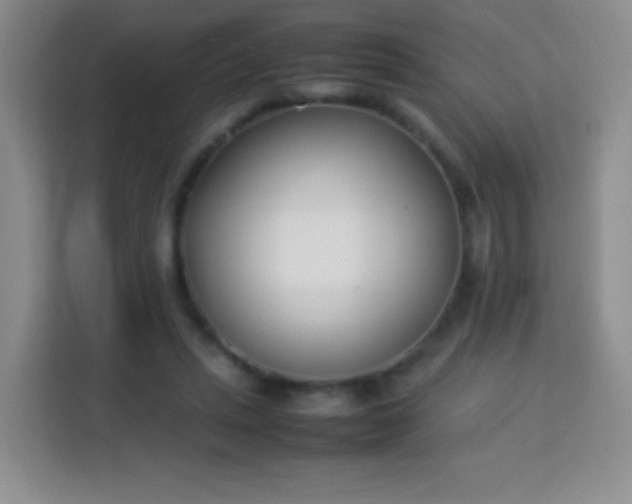 X0000113750447200910071109