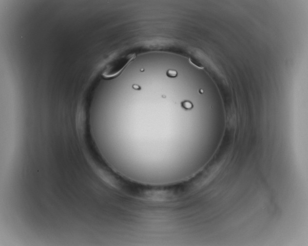 X0000113750448200910071109