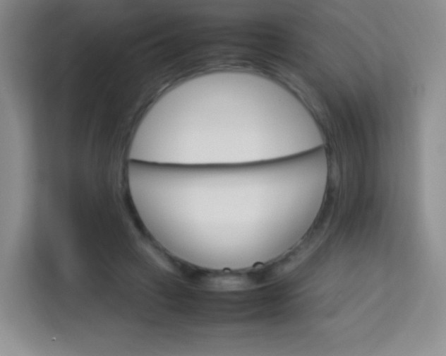 X0000113750449200910071109