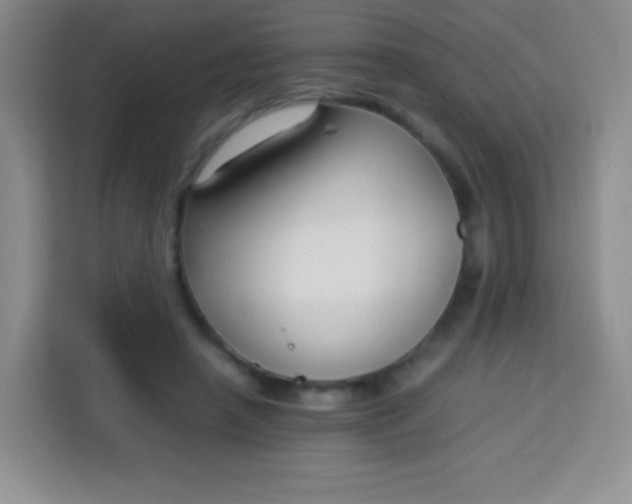 X0000113750450200910071109