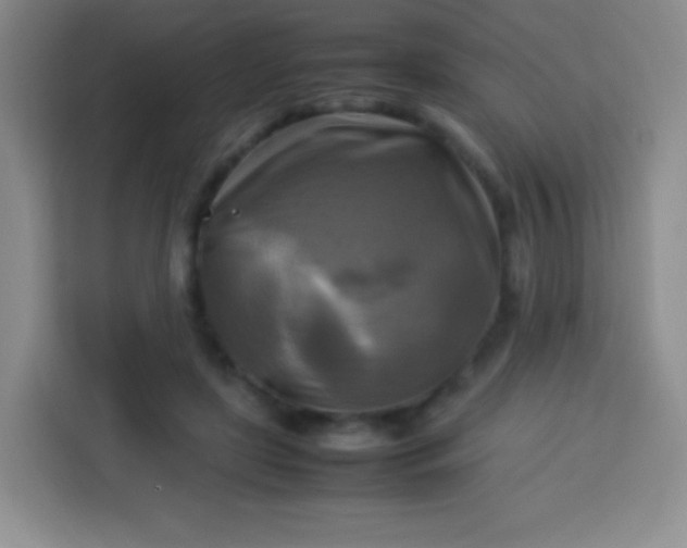 X0000113750451200910071109