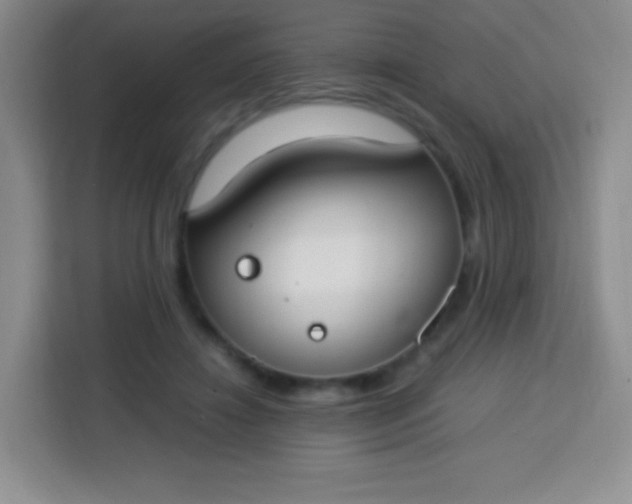 X0000113750452200910071109