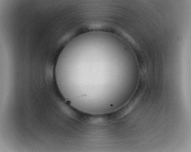 X0000113750454200910071109