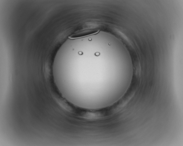 X0000113750455200910071109