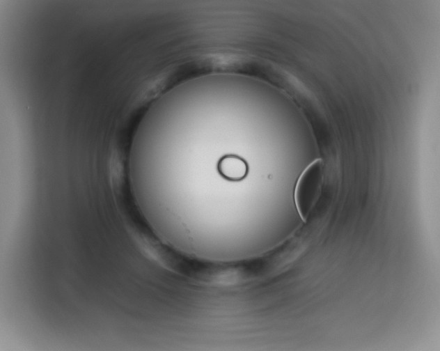 X0000113750456200910071109