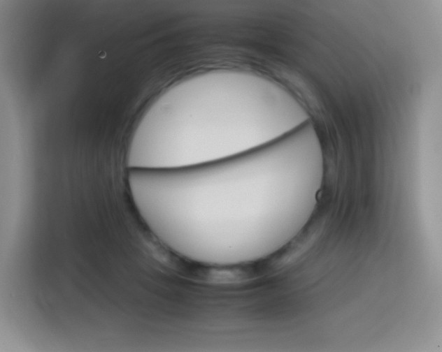 X0000113750457200910071109