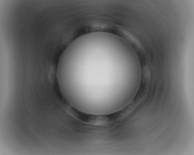 X0000113750463200910071109