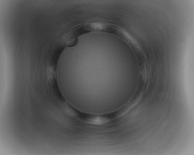 X0000113750467200910071109